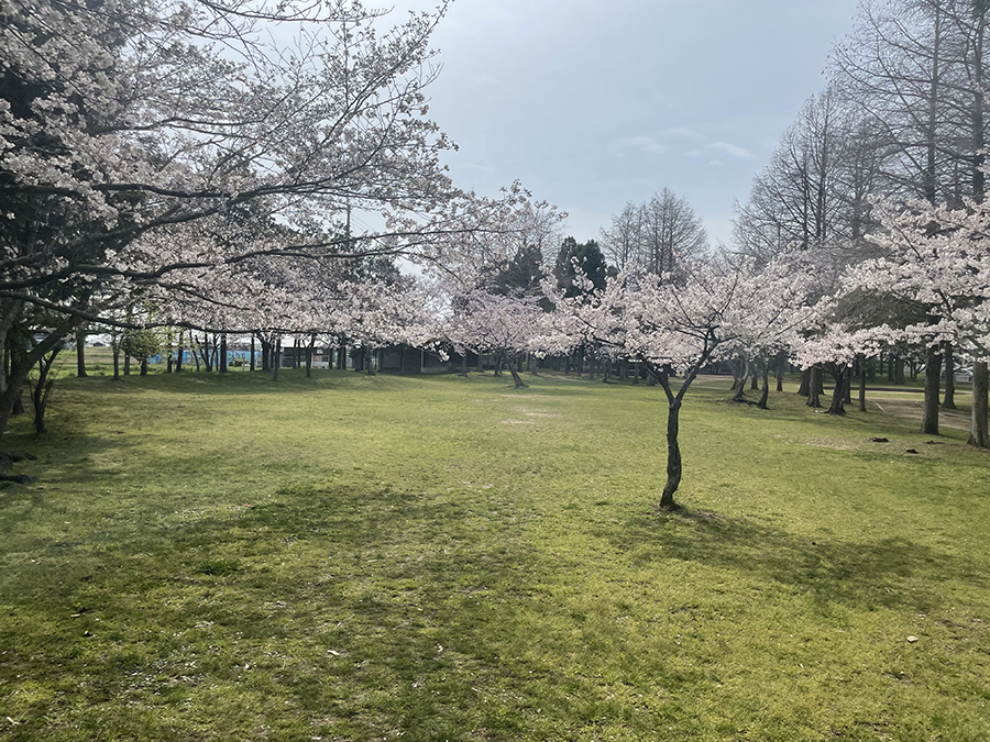 稲美中央公園