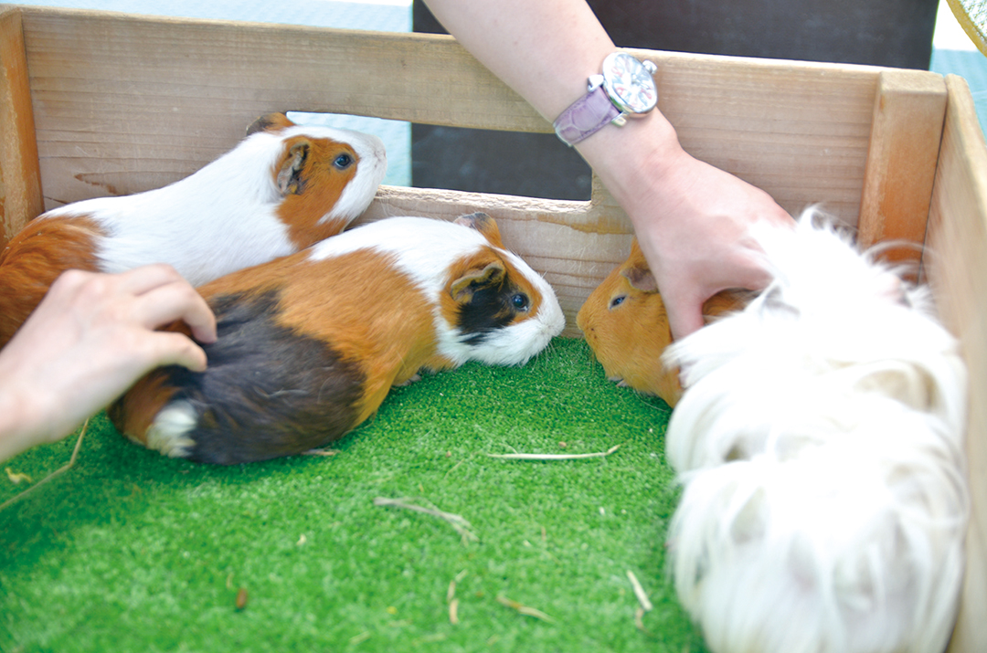 姫路市立動物園