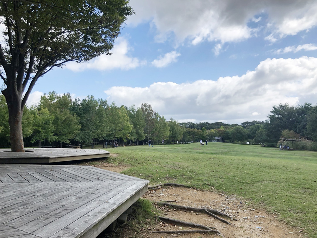 兵庫県立三木山森林公園