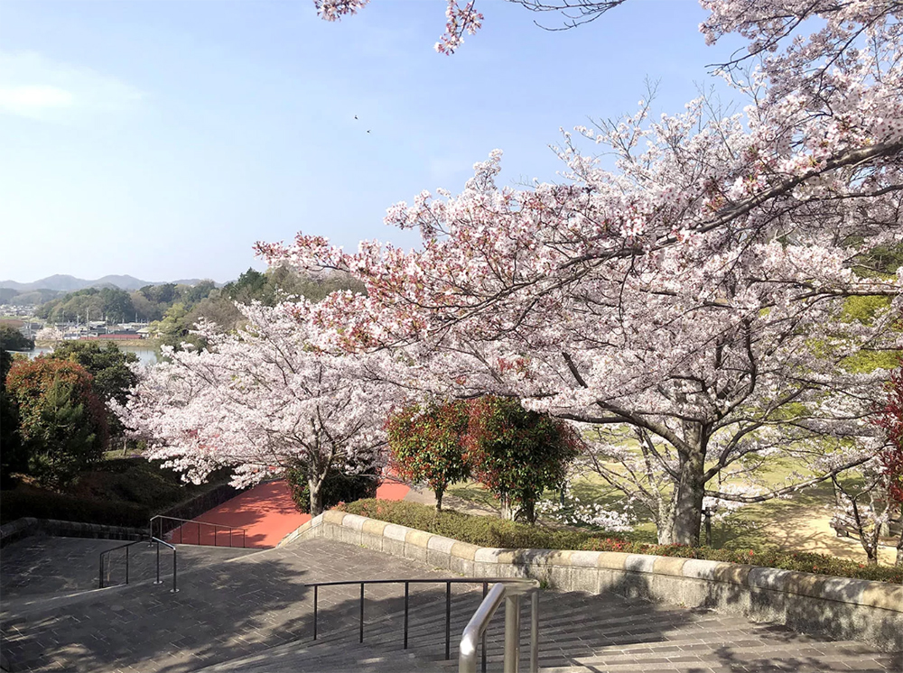 丸山総合公園