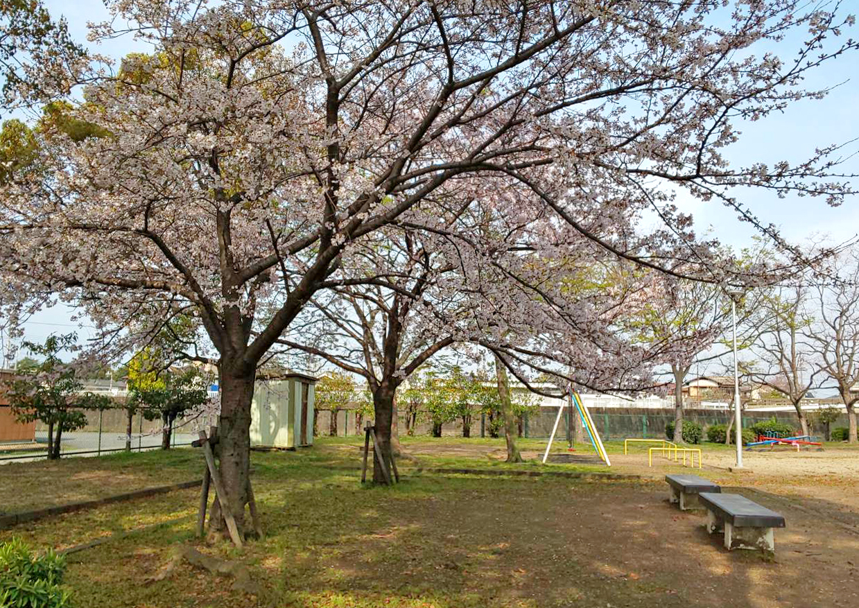 なかしま公園