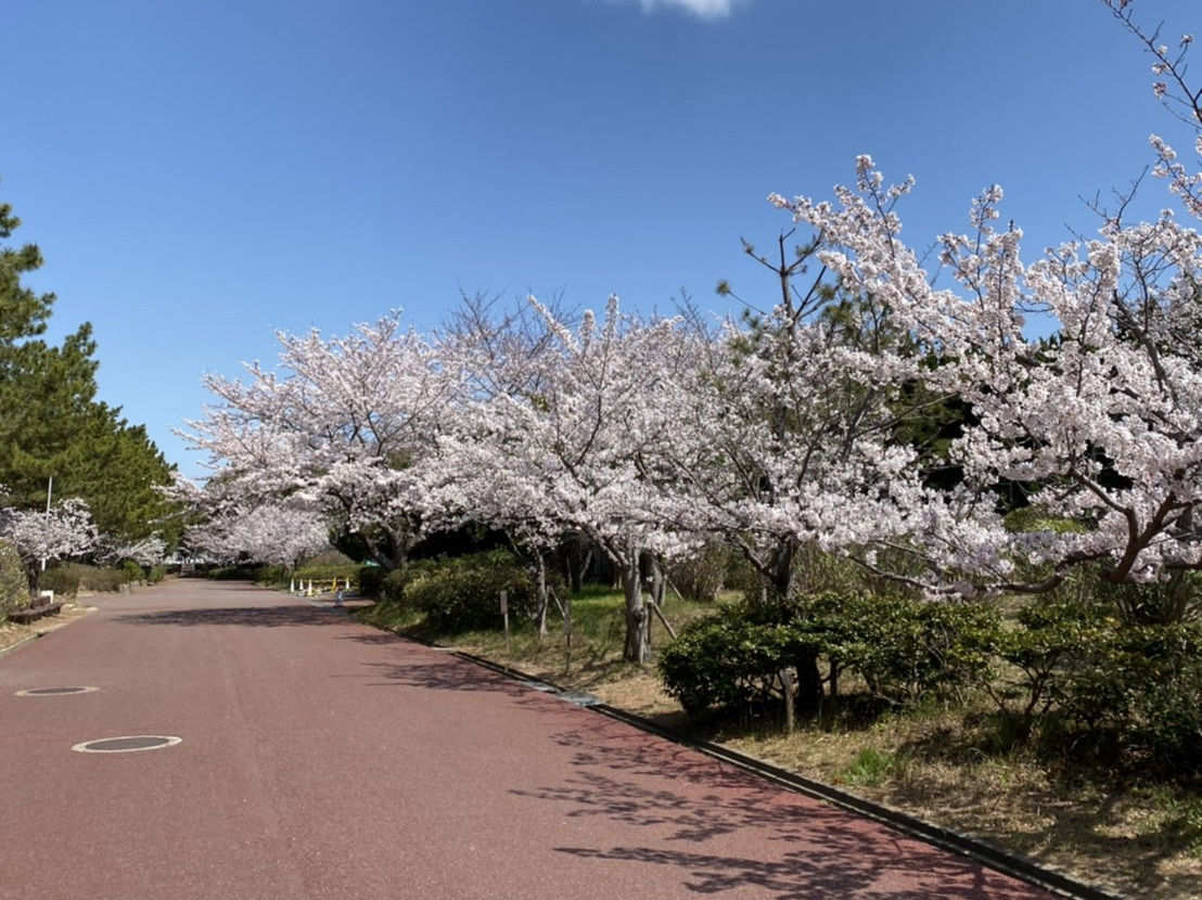 明石海浜公園