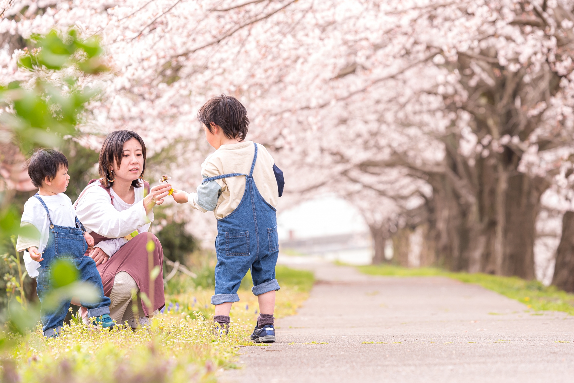 お花見