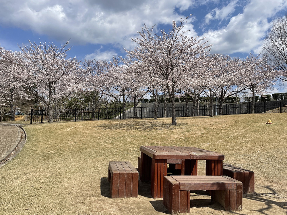 社中央公園ステラパーク