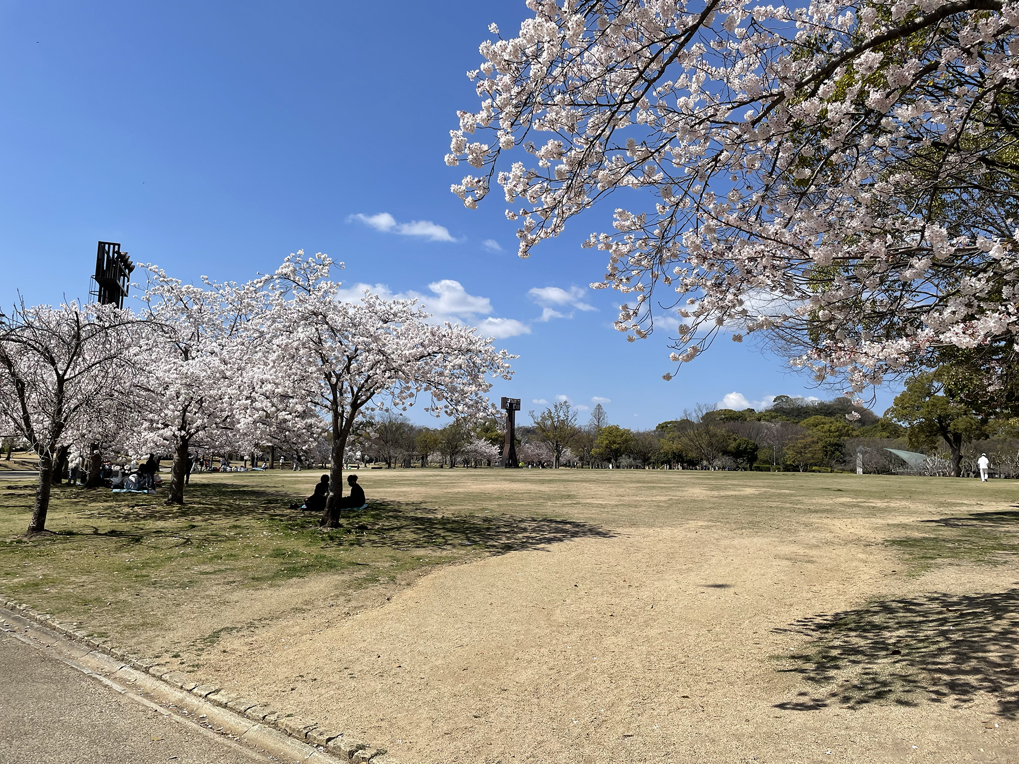 シロトピア記念公園