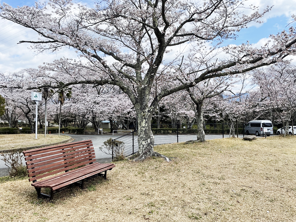 西脇公園