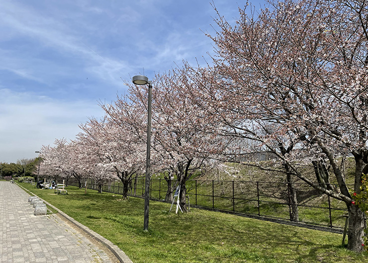 高浜総合公園