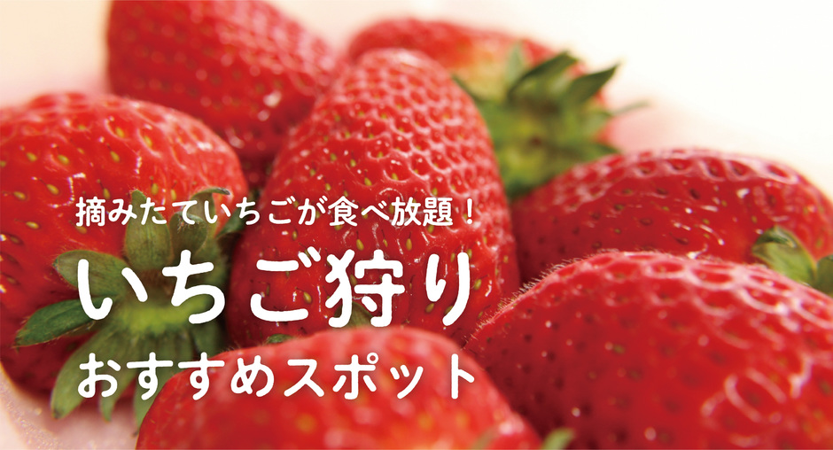 いちご狩りスポット