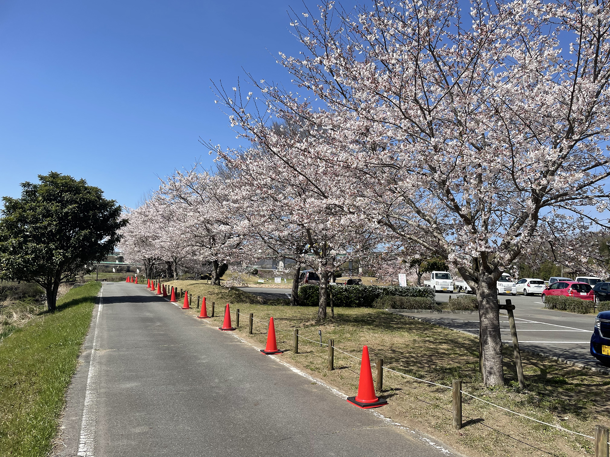 山田の里公園