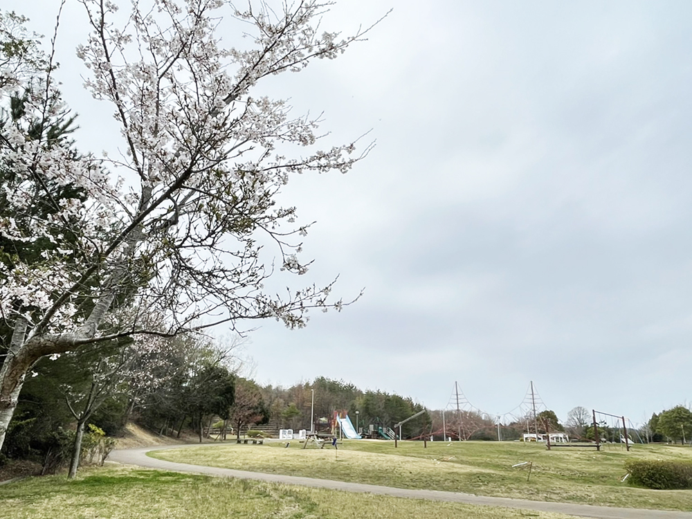 三木総合防災公園