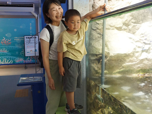 水槽の清掃
