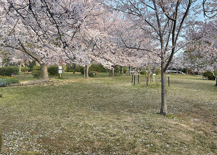 日岡山公園