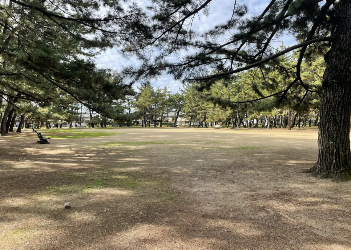 浜の宮公園