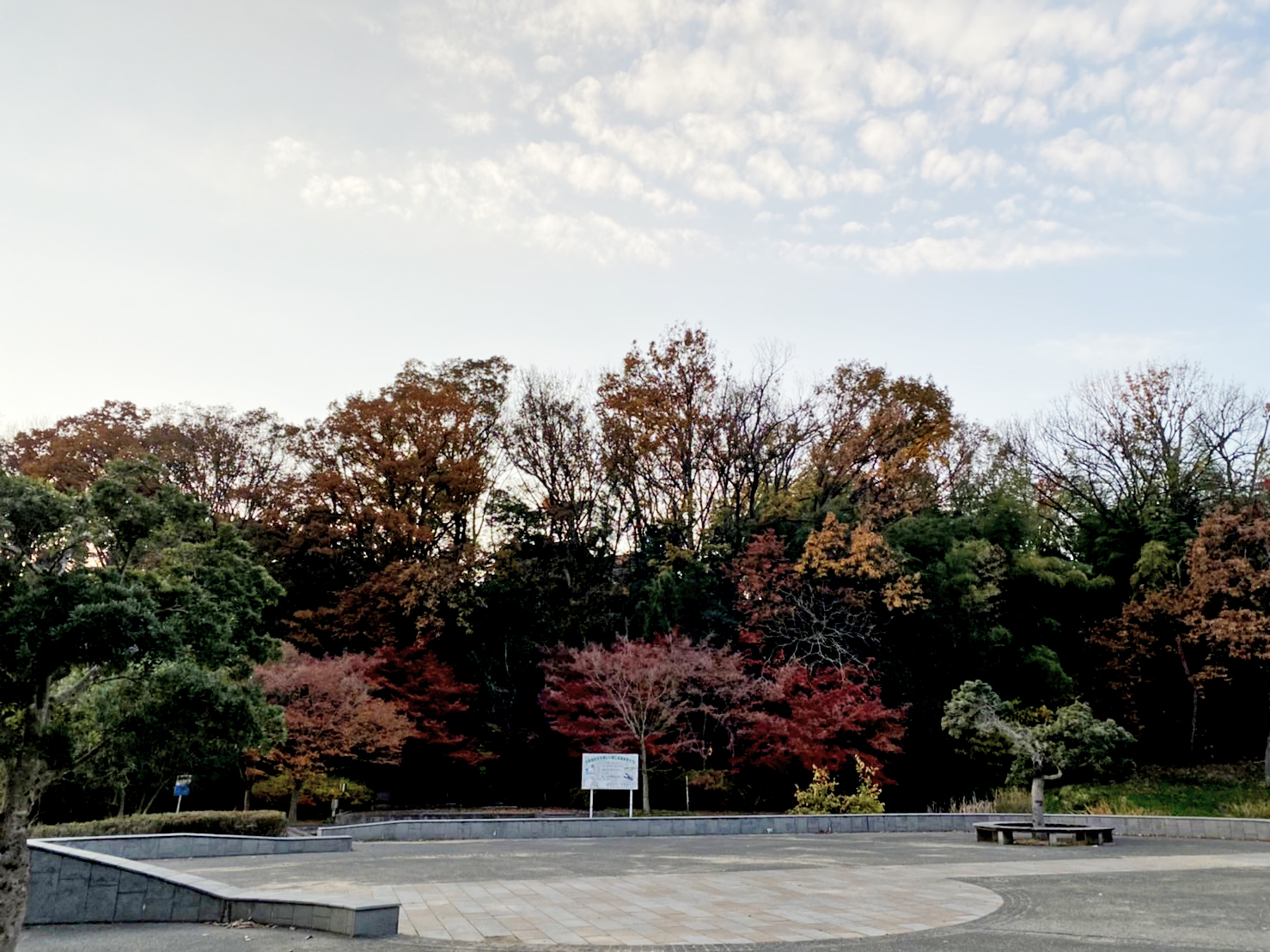 金ヶ崎公園
