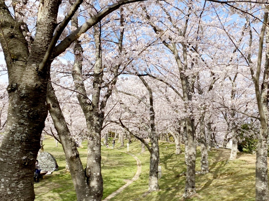 石ヶ谷公園