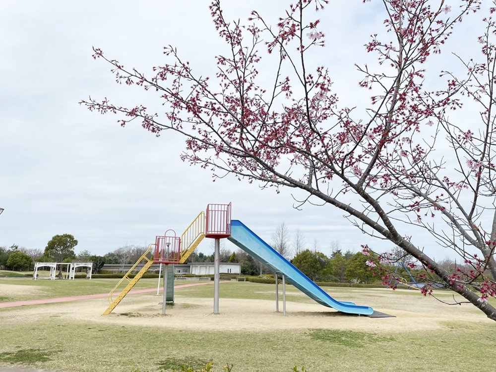 三木総合防災公園
