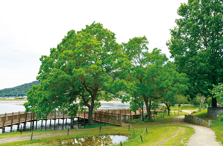 市ノ池公園