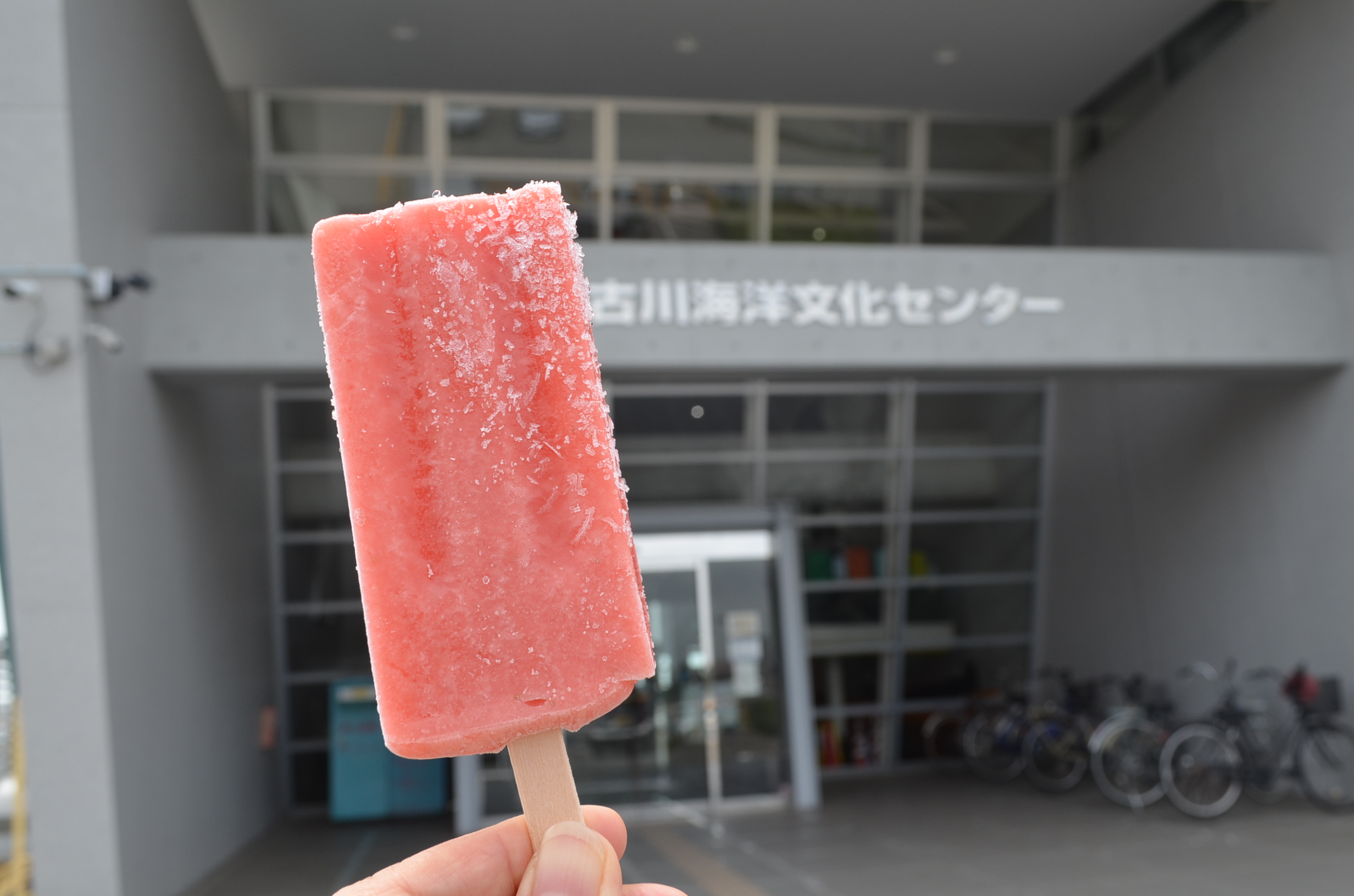 加古川海洋文化センターとアイスキャンデー