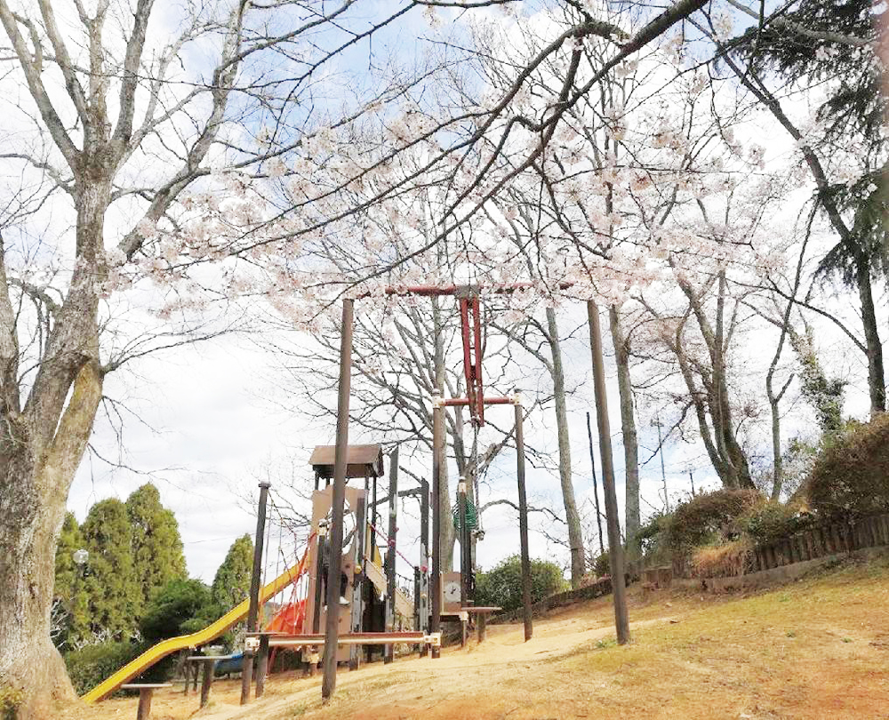 童子山公園