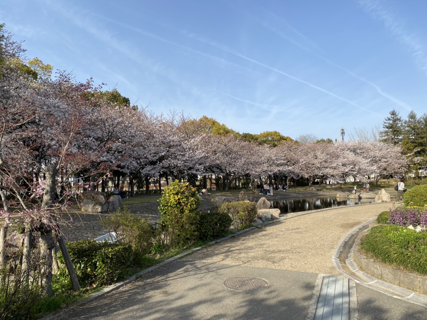 野添北公園