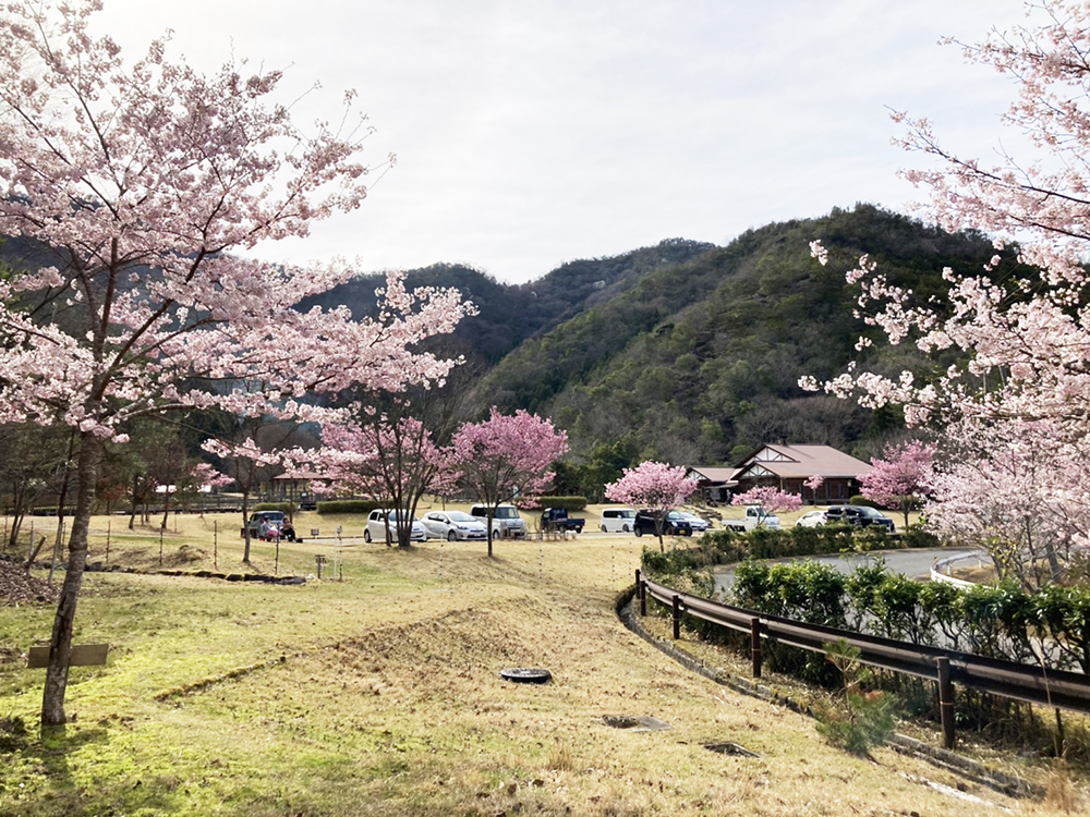 なかやちよの森公園