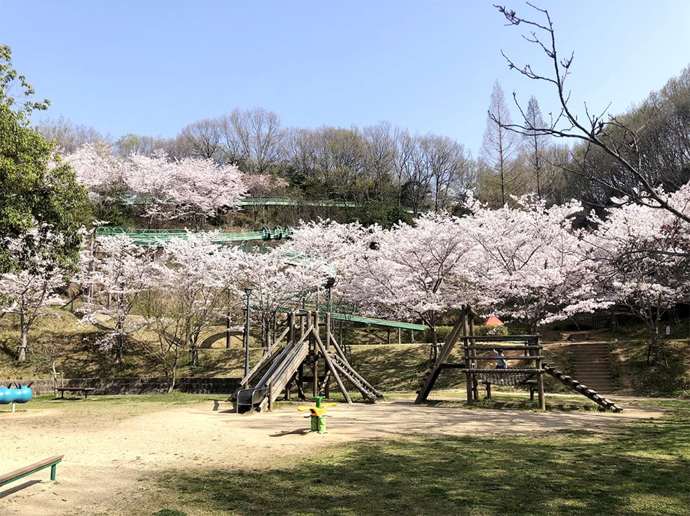 丸山総合公園