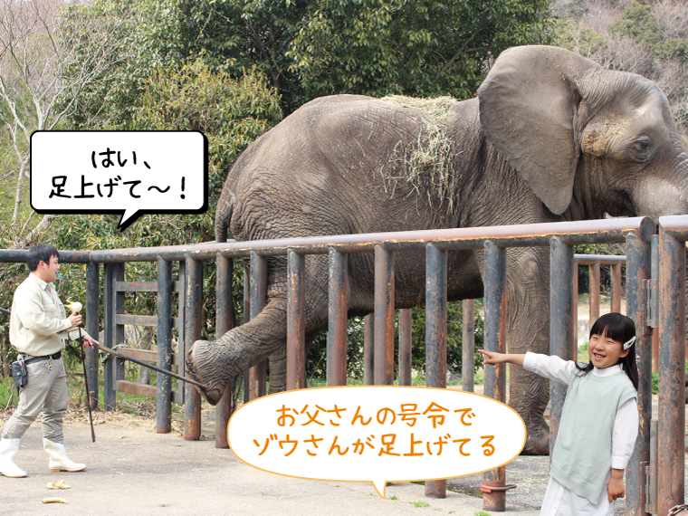 父の日特集