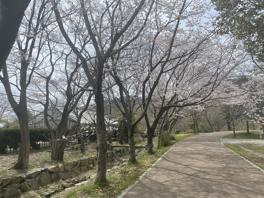 市ノ池公園