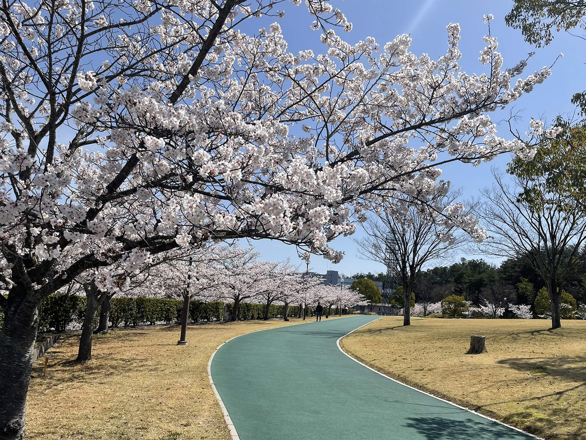 匠台公園