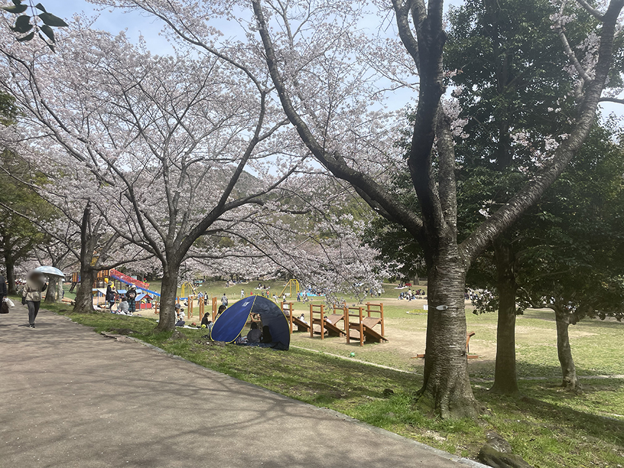 市ノ池公園