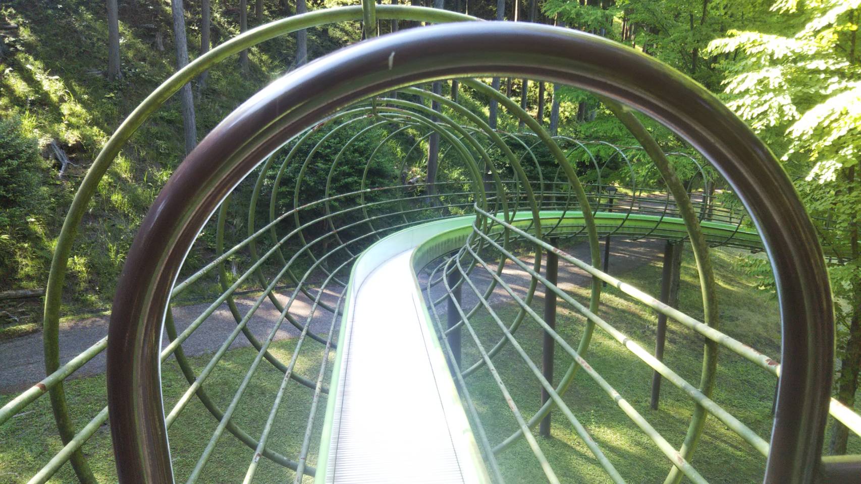 栗ノ木谷公園 冒険の森