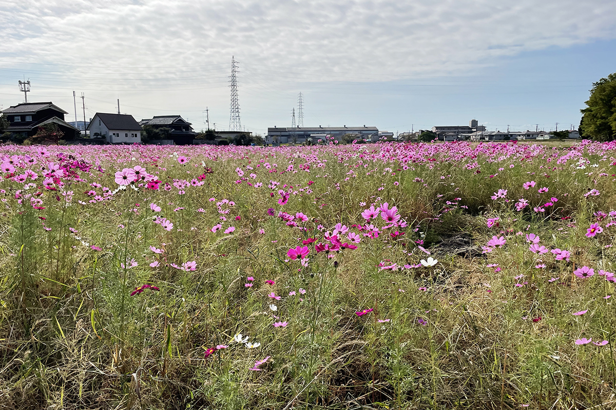 天満大池公園
