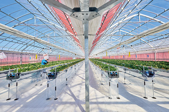 果樹花ふぁーむ