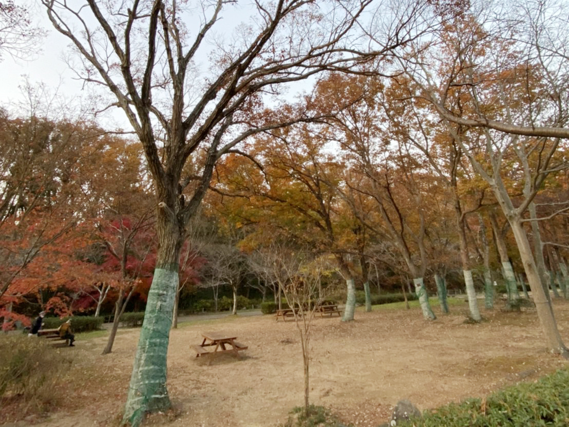 金ヶ崎公園