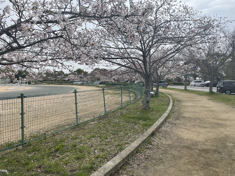 いなみ野水辺の里公園