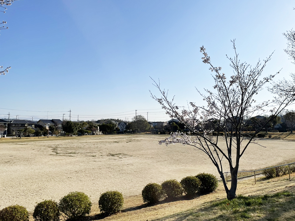 青山中央公園