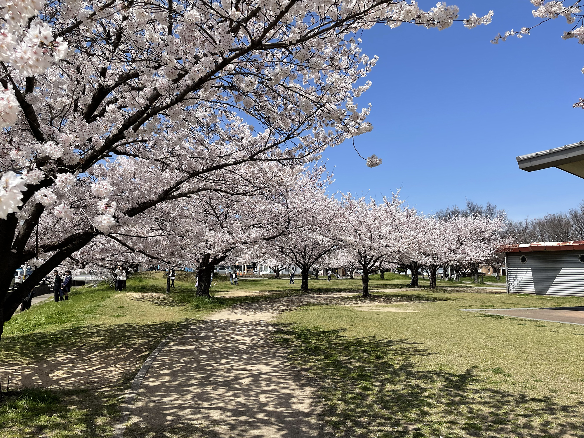 尾上公園