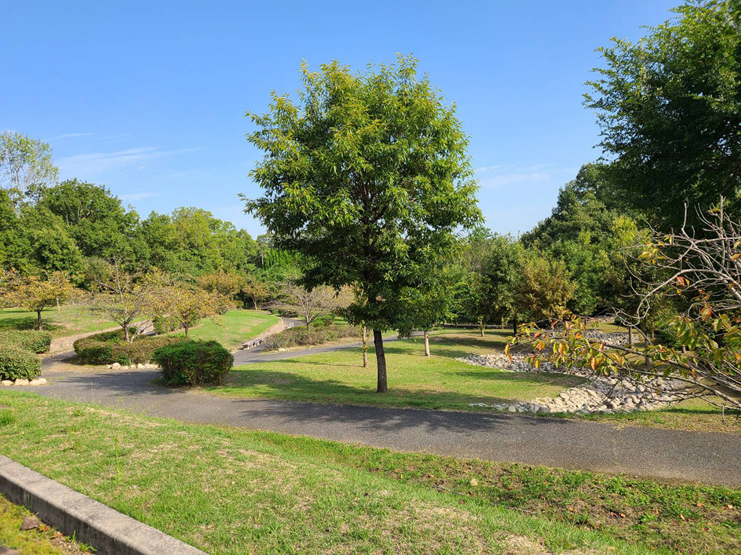 播磨中央公園