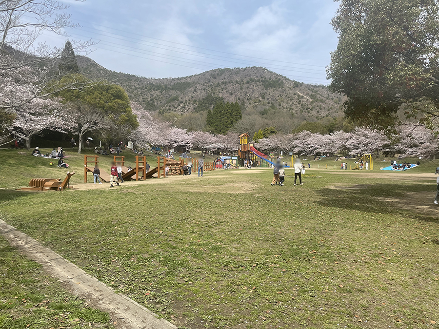 市ノ池公園