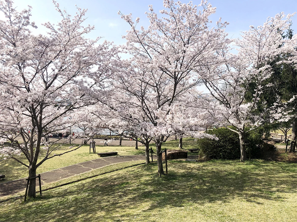 丸山総合公園