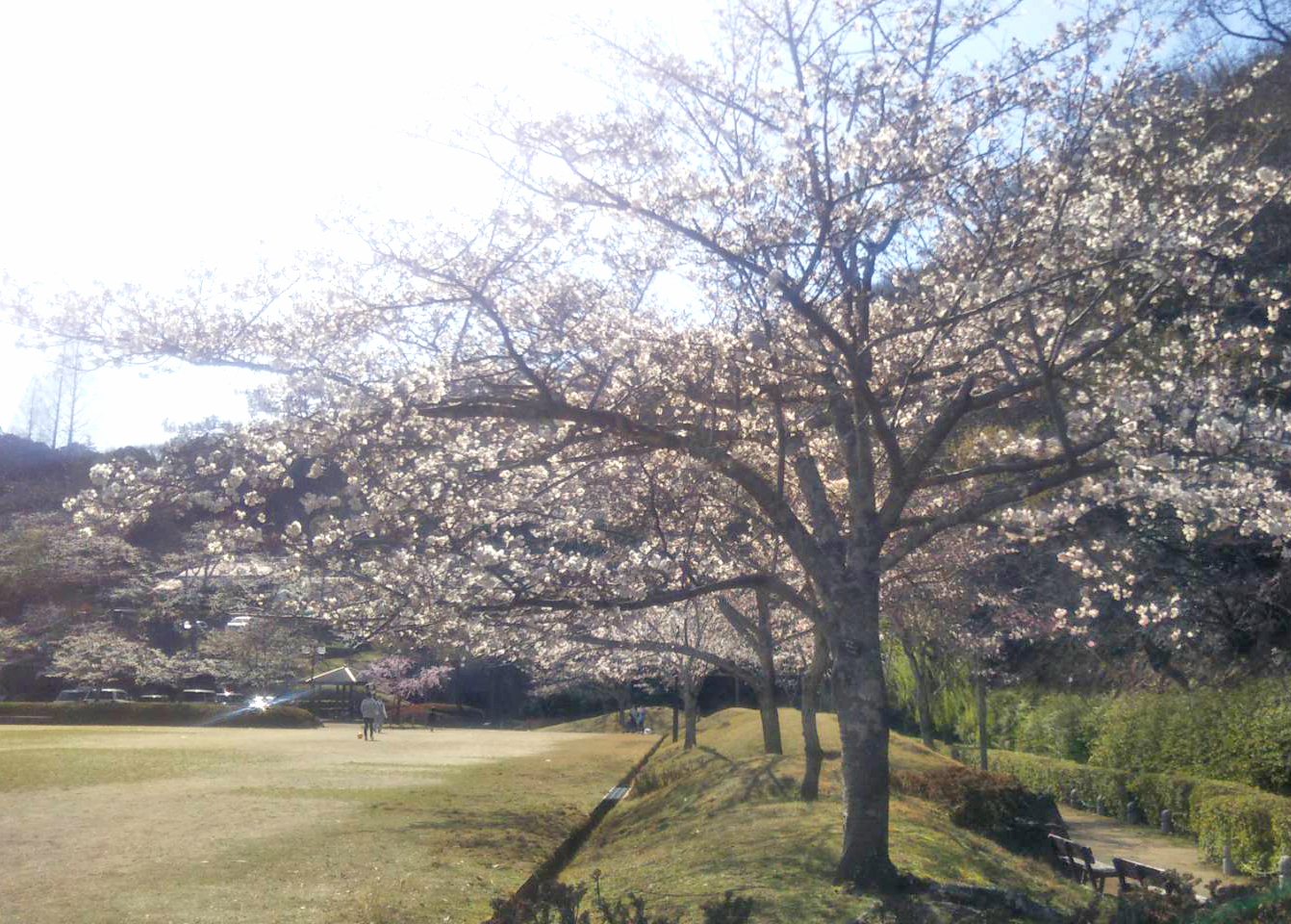 龍野公園