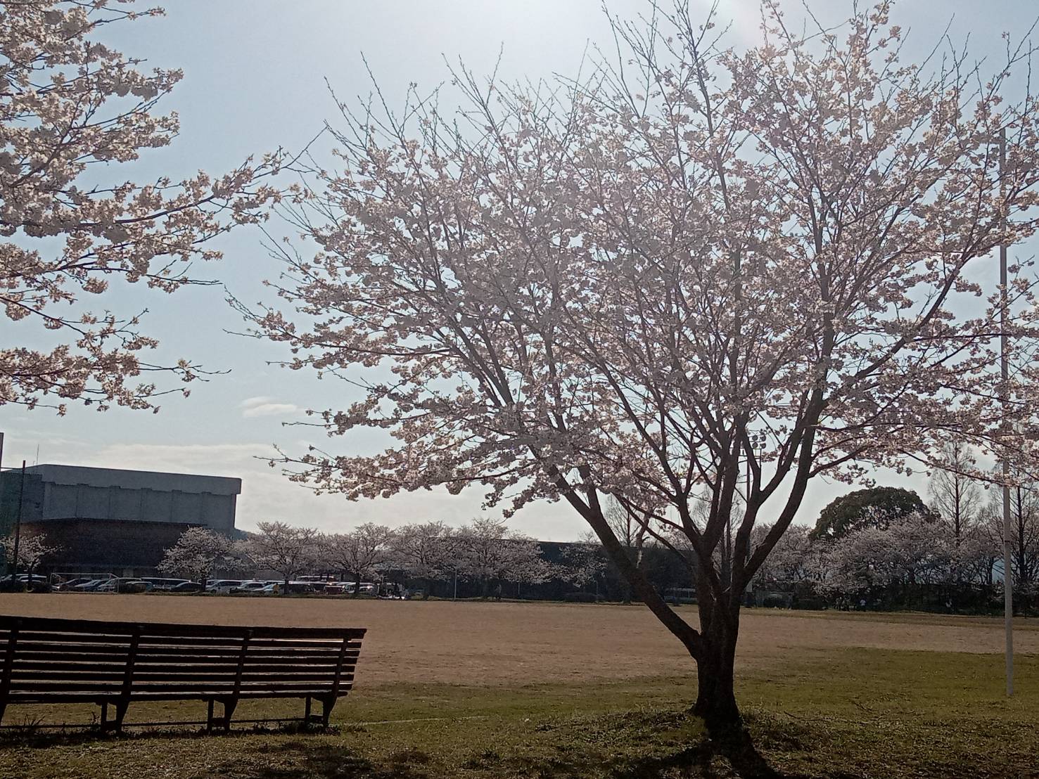 中川原公園