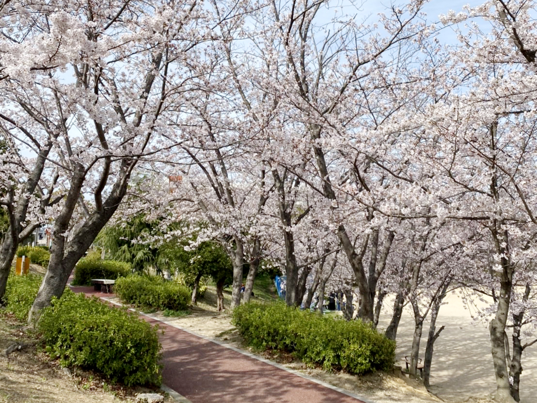 錦ヶ丘中央公園