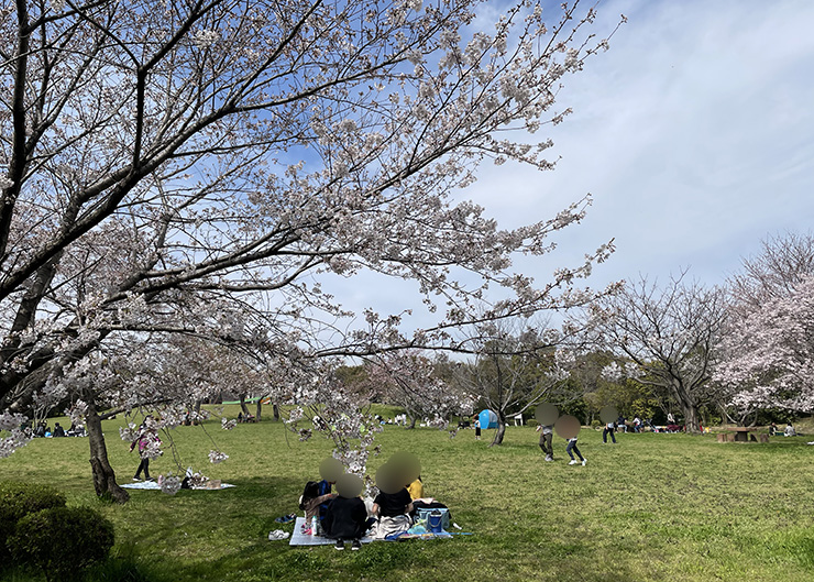 飾磨緑地公園
