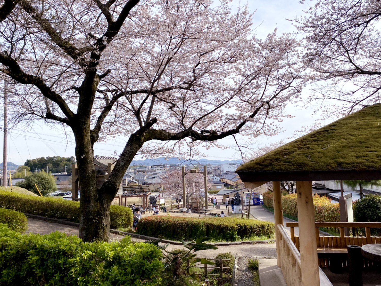 辻川山公園