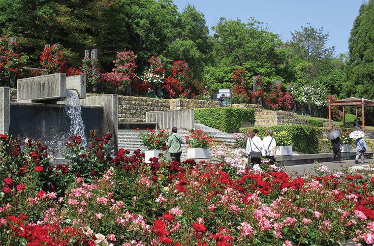 播磨中央公園