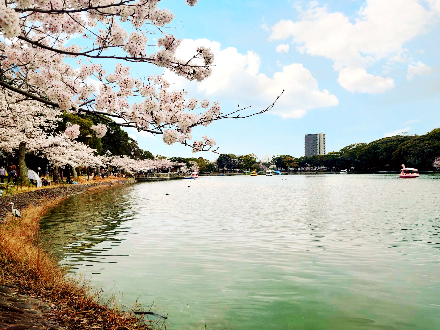 明石公園