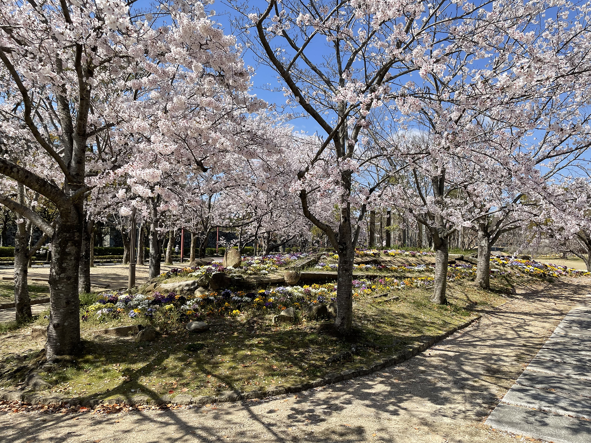 シロトピア記念公園