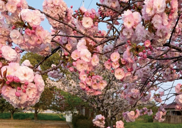 いなみの工業団地公園