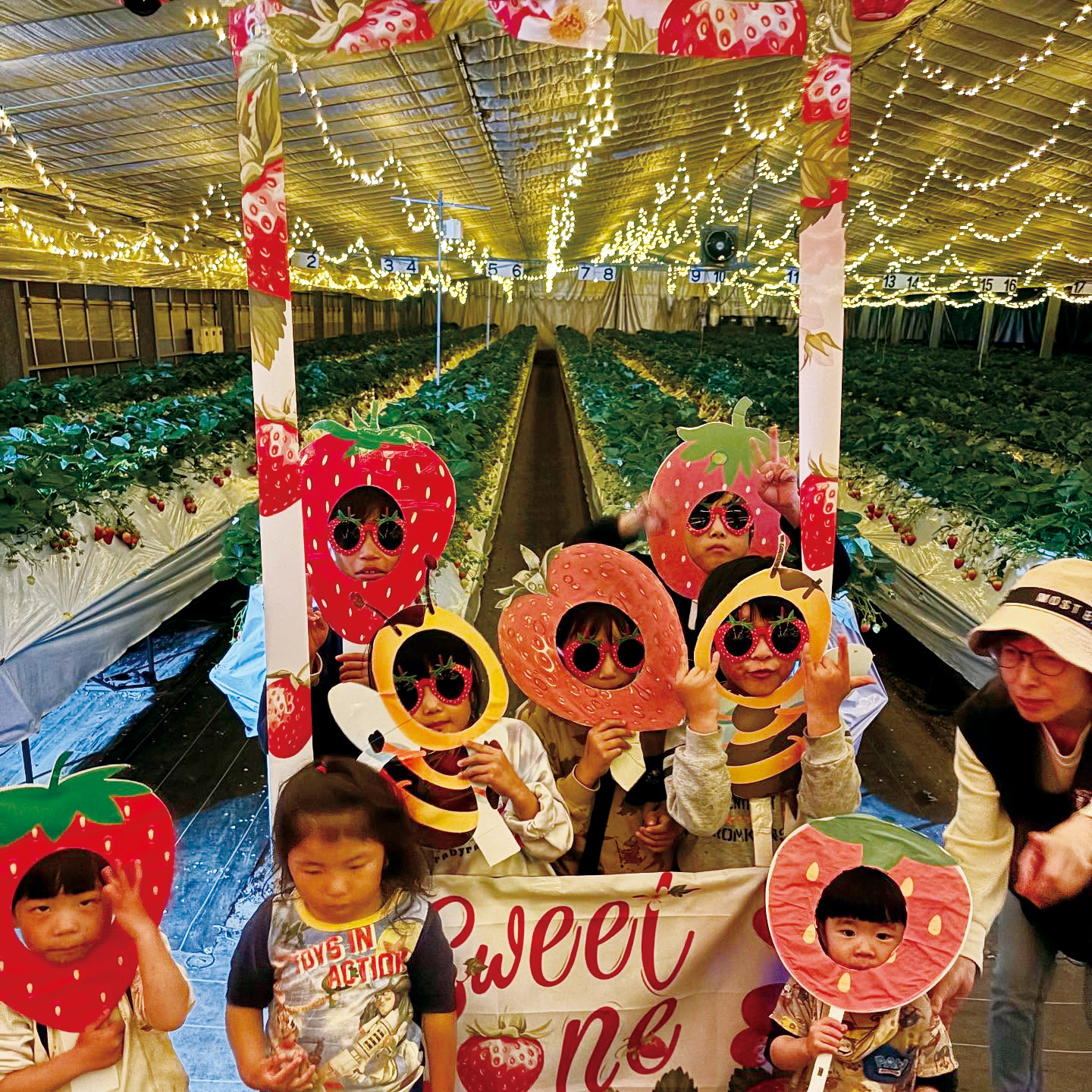 ナイトいちご狩り